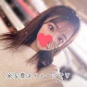 ヒメ日記 2024/12/19 11:25 投稿 一ノ瀬あい DEEPS成田店