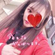 ヒメ日記 2024/12/28 09:25 投稿 一ノ瀬あい DEEPS成田店