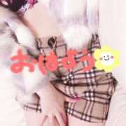 ヒメ日記 2025/01/09 09:25 投稿 一ノ瀬あい DEEPS成田店