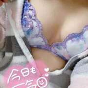 ヒメ日記 2025/12/09 12:57 投稿 早川ゆみり 全裸革命orおもいっきり痴漢電車