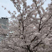 ヒメ日記 2025/03/26 11:45 投稿 はづき 奥鉄オクテツ大阪