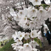 ヒメ日記 2025/03/29 14:35 投稿 はづき 奥鉄オクテツ大阪