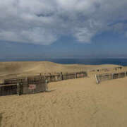 ヒメ日記 2025/04/06 13:40 投稿 はづき 奥鉄オクテツ大阪