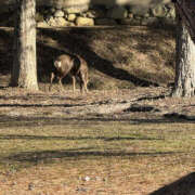 ヒメ日記 2025/12/27 10:45 投稿 はづき 奥鉄オクテツ大阪