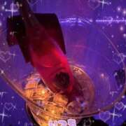 ヒメ日記 2026/04/05 03:18 投稿 みこ ジュエルズ(池袋)