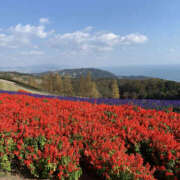 ヒメ日記 2025/02/03 19:45 投稿 はづき 奥鉄オクテツ奈良