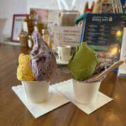 ヒメ日記 2025/03/17 10:10 投稿 はづき 奥鉄オクテツ奈良