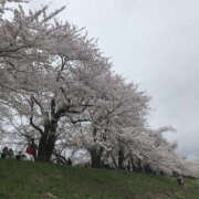 ヒメ日記 2025/04/04 09:00 投稿 はづき 奥鉄オクテツ奈良
