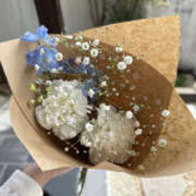 ヒメ日記 2025/05/02 15:20 投稿 はづき 奥鉄オクテツ奈良