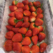 はづき 出勤予定 奥鉄オクテツ奈良