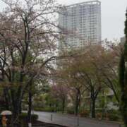 ヒメ日記 2025/05/03 03:25 投稿 上田 あいか RANUNCULUS(ラナンキュラス)