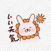 ヒメ日記 2025/06/15 15:55 投稿 上田 あいか RANUNCULUS(ラナンキュラス)