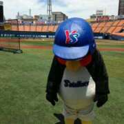 ヒメ日記 2025/07/25 15:05 投稿 上田 あいか RANUNCULUS(ラナンキュラス)