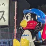 ヒメ日記 2025/08/26 19:55 投稿 上田 あいか RANUNCULUS(ラナンキュラス)