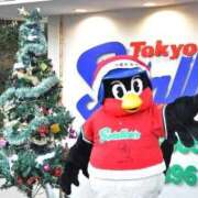 ヒメ日記 2025/12/02 23:55 投稿 上田 あいか RANUNCULUS(ラナンキュラス)