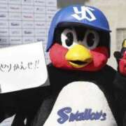 ヒメ日記 2025/12/22 14:35 投稿 上田 あいか RANUNCULUS(ラナンキュラス)