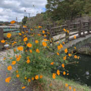 ヒメ日記 2025/01/17 18:30 投稿 はづき 奥鉄オクテツ兵庫