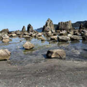 ヒメ日記 2025/02/10 11:35 投稿 はづき 奥鉄オクテツ兵庫