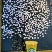 ヒメ日記 2025/03/15 23:00 投稿 はづき 奥鉄オクテツ兵庫