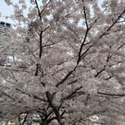 ヒメ日記 2025/03/29 21:20 投稿 はづき 奥鉄オクテツ兵庫