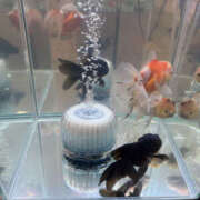 ヒメ日記 2025/10/19 22:00 投稿 はづき 奥鉄オクテツ兵庫