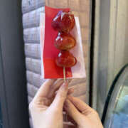 ヒメ日記 2025/11/11 15:25 投稿 はづき 奥鉄オクテツ兵庫