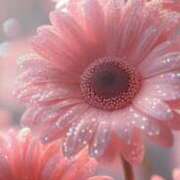 ヒメ日記 2025/07/31 09:59 投稿 四宮　まこと ベルサイユの薔薇