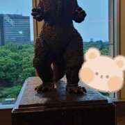 ヒメ日記 2025/06/18 12:00 投稿 さとみ 東京人妻セレブリティ（ユメオト）