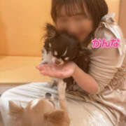 ヒメ日記 2024/12/14 11:13 投稿 かんな ハピネス東京