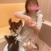 ヒメ日記 2024/12/15 20:32 投稿 かんな ハピネス東京