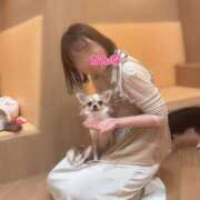 ヒメ日記 2024/12/22 20:37 投稿 かんな ハピネス東京