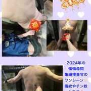 ヒメ日記 2025/01/07 10:25 投稿 MIKU（みく） 亀頭特別捜査官 THE-X GOTANDA