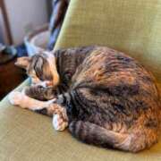 ヒメ日記 2025/07/25 18:11 投稿 まり 人妻美人館