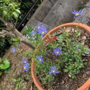 ヒメ日記 2025/10/02 06:37 投稿 まり 人妻美人館