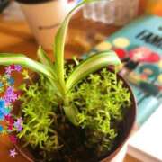 ヒメ日記 2025/10/25 19:25 投稿 まり 人妻美人館