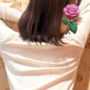 ヒメ日記 2025/11/09 16:01 投稿 まり 人妻美人館