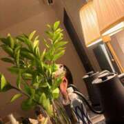 ヒメ日記 2025/11/15 11:17 投稿 まり 人妻美人館