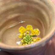 ヒメ日記 2025/11/22 23:05 投稿 まり 人妻美人館