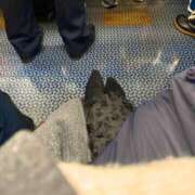 ヒメ日記 2025/12/03 18:08 投稿 まり 人妻美人館