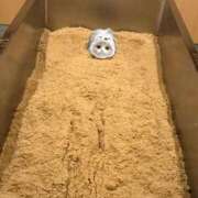 ヒメ日記 2025/09/18 15:50 投稿 りり THE ESUTE 五反田店