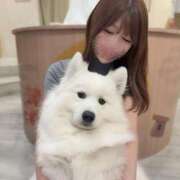 ヒメ日記 2025/11/14 21:20 投稿 りり THE ESUTE 五反田店