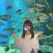 ヒメ日記 2026/01/03 08:20 投稿 りり THE ESUTE 五反田店