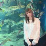 ヒメ日記 2026/02/08 08:20 投稿 りり THE ESUTE 五反田店