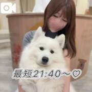 ヒメ日記 2026/07/12 15:20 投稿 りり THE ESUTE 五反田店