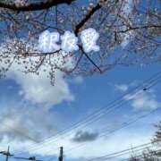 ヒメ日記 2025/04/03 01:16 投稿 釈 友愛(しゃくゆうあ) 五十路マダムエクスプレス厚木店(カサブランカグループ)