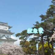 ヒメ日記 2025/04/08 17:50 投稿 釈 友愛(しゃくゆうあ) 五十路マダムエクスプレス厚木店(カサブランカグループ)