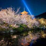 ヒメ日記 2025/04/12 19:39 投稿 さおり 名古屋ちゃんこ