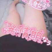 ヒメ日記 2025/10/11 17:57 投稿 さおり 名古屋ちゃんこ