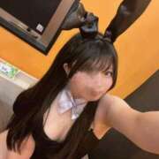 ヒメ日記 2025/05/21 20:20 投稿 ココミ いたずらバニーちゃん