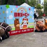 ヒメ日記 2025/06/01 11:50 投稿 ココミ いたずらバニーちゃん